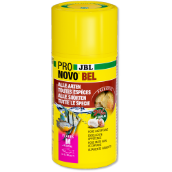 JBL NovoBel