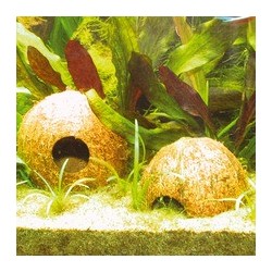 JBL Cocos Cava 1/2L